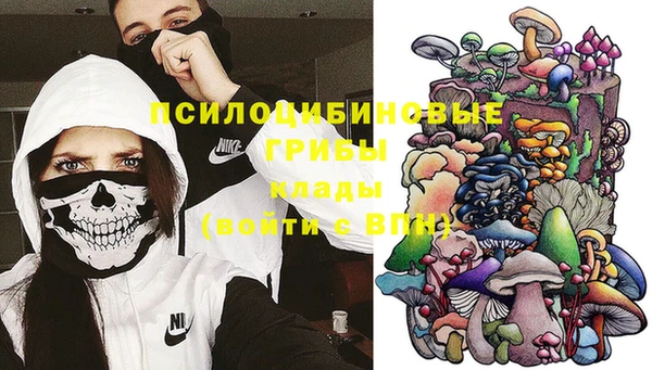 твердый Алзамай
